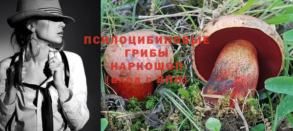 стаф Армянск