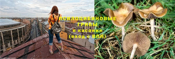Альфа ПВП Аркадак