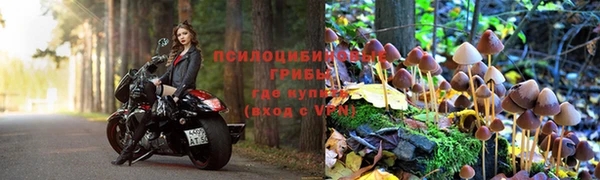 винт Арсеньев