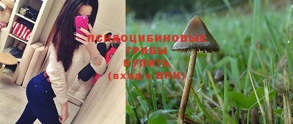 винт Арсеньев