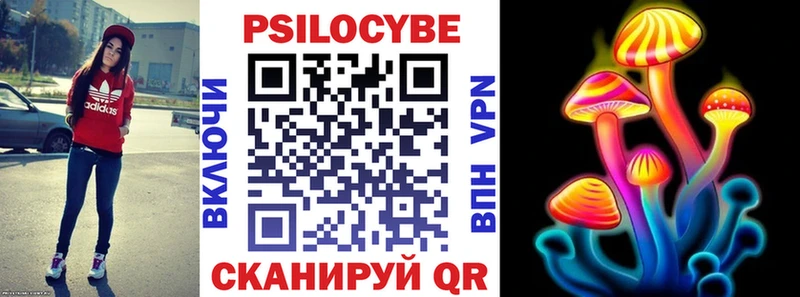 Галлюциногенные грибы Psilocybine cubensis  Питкяранта 